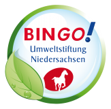 logo_bingo